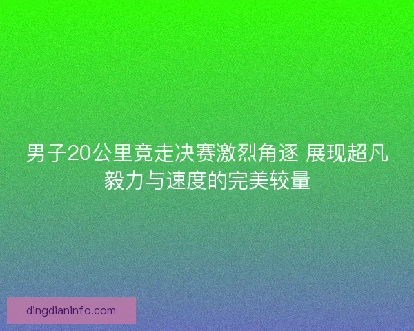 男子20公里竞走决赛激烈角逐 展现超凡毅力与速度的完美较量