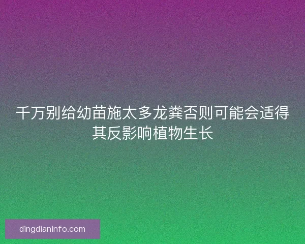 千万别给幼苗施太多龙粪否则可能会适得其反影响植物生长