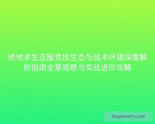 绝地求生亚服竞技生态与战术环境深度解析指南全景观察与实战进阶攻略